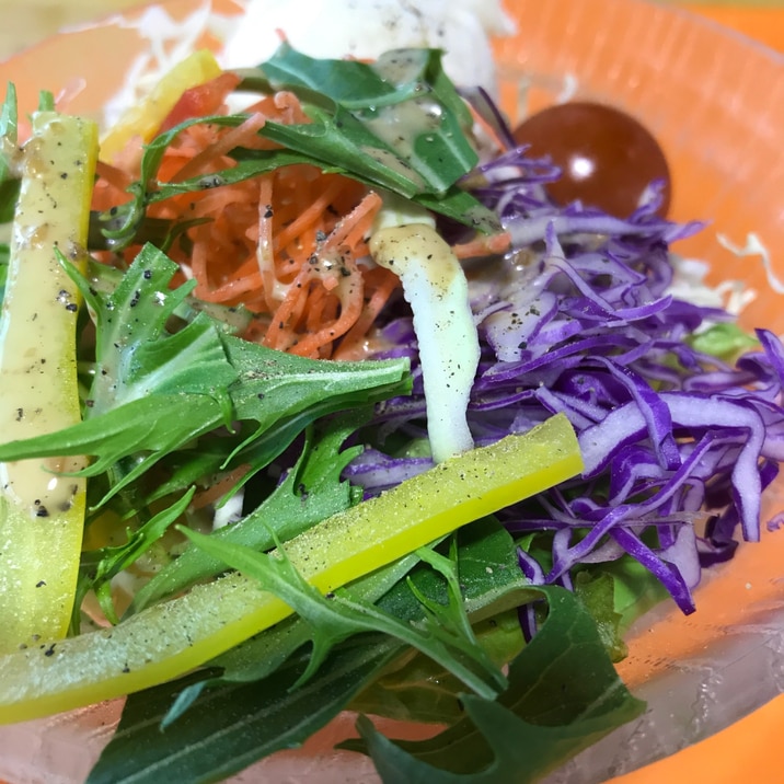 野菜が沢山食べたい 野菜サラダ レシピ 作り方 By けけり 楽天レシピ 野菜が沢山食べたい 野菜サラダ レシピ 作り方 By けけり 楽天レシピ